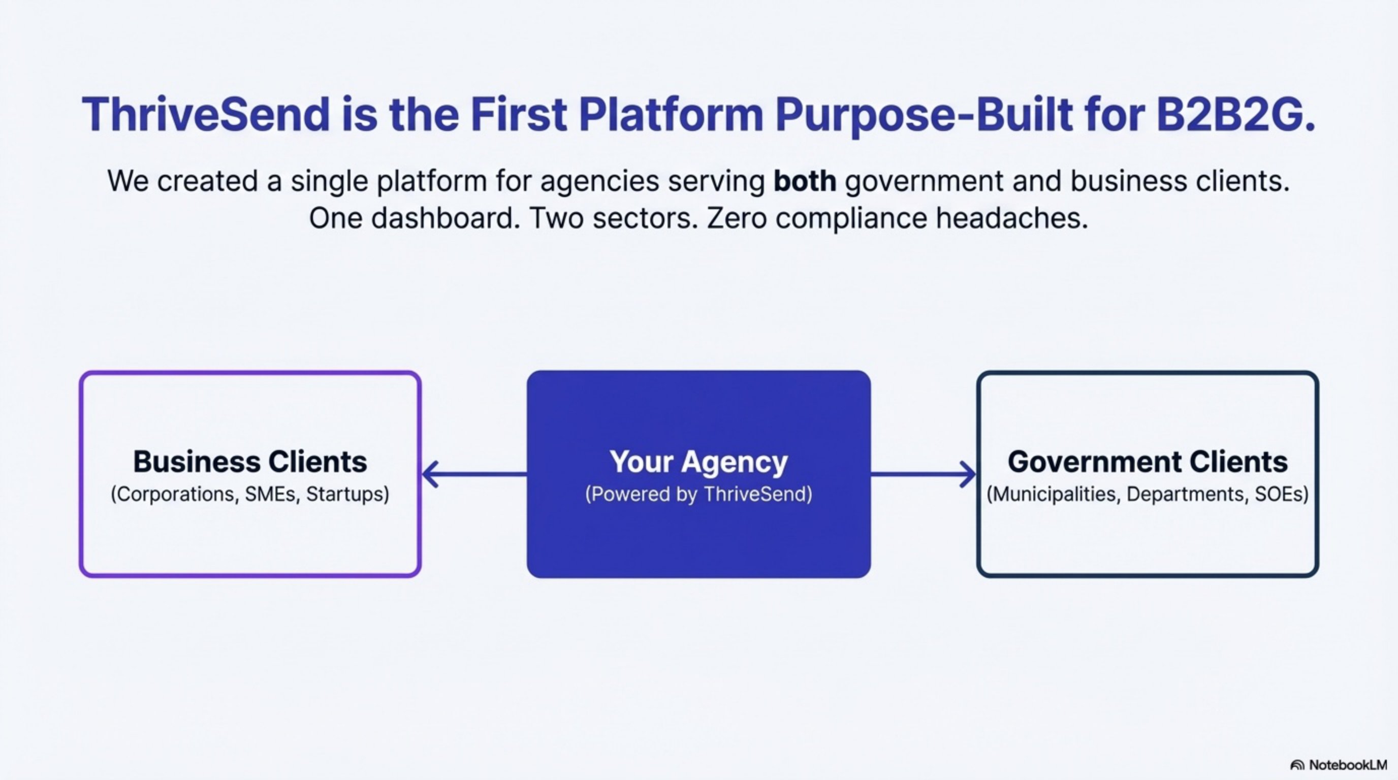 B2B2G Business Model - Agency Serving Both Sectors